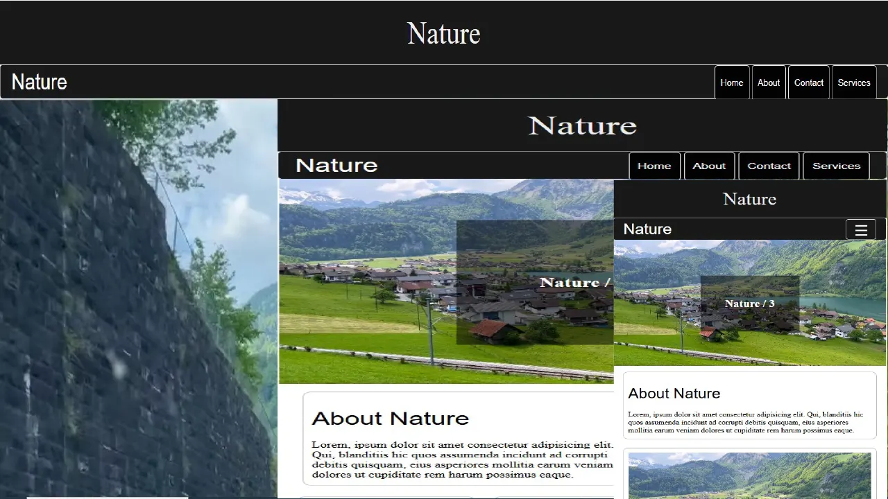 https://www.codezara.com/image/nature.webp